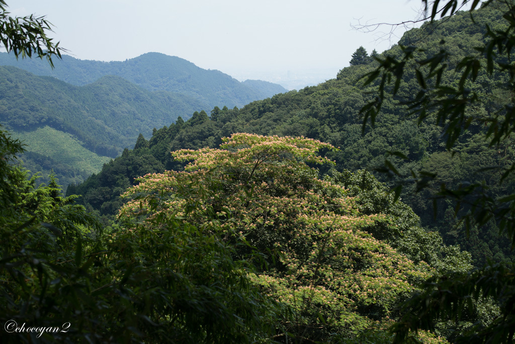 d0161322_21305829.jpg