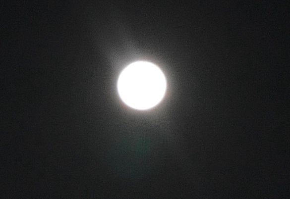 b0068423_21414267.jpg