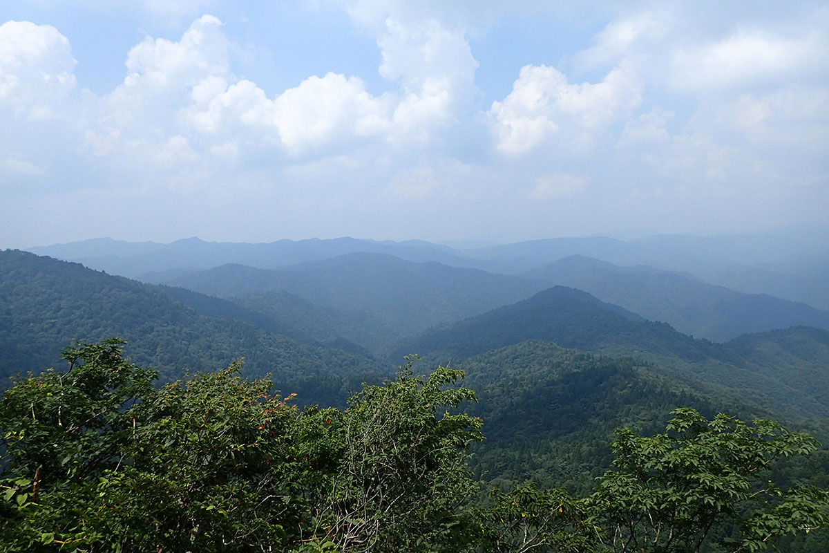 c0064025_17231382.jpg