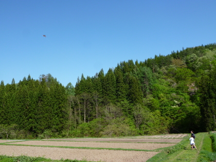 f0080631_2215263.jpg