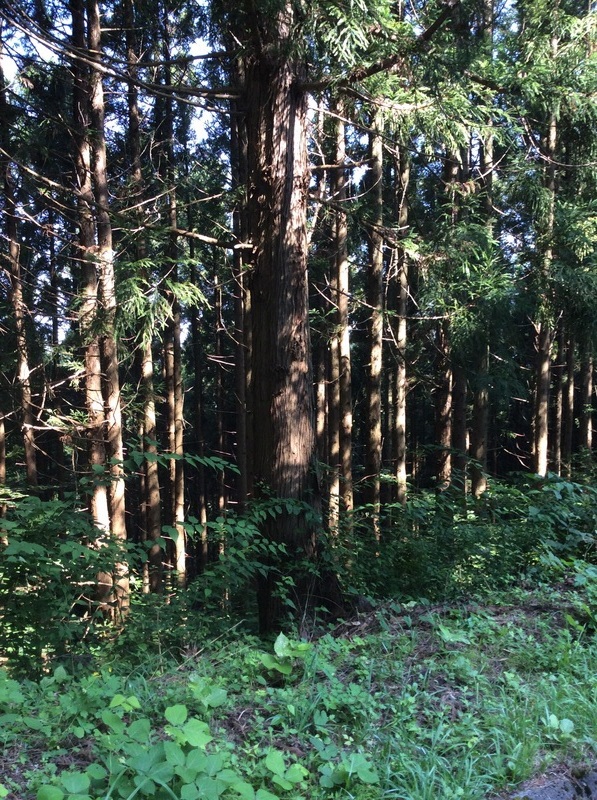 d0269832_09384796.jpg