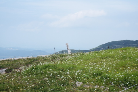 f0118332_14474219.jpg