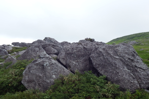f0118332_15150485.jpg