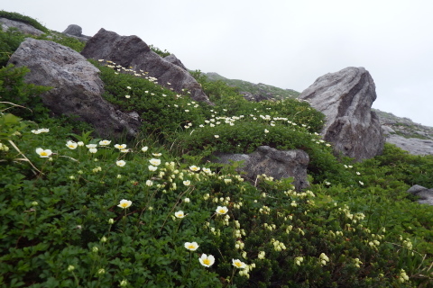 f0118332_15170420.jpg