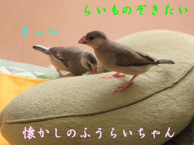 c0365734_22355227.jpg