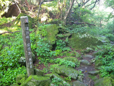 e0272335_2134416.jpg