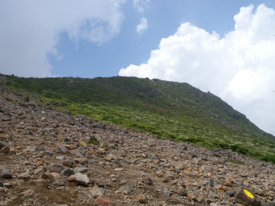 e0272335_21501344.jpg