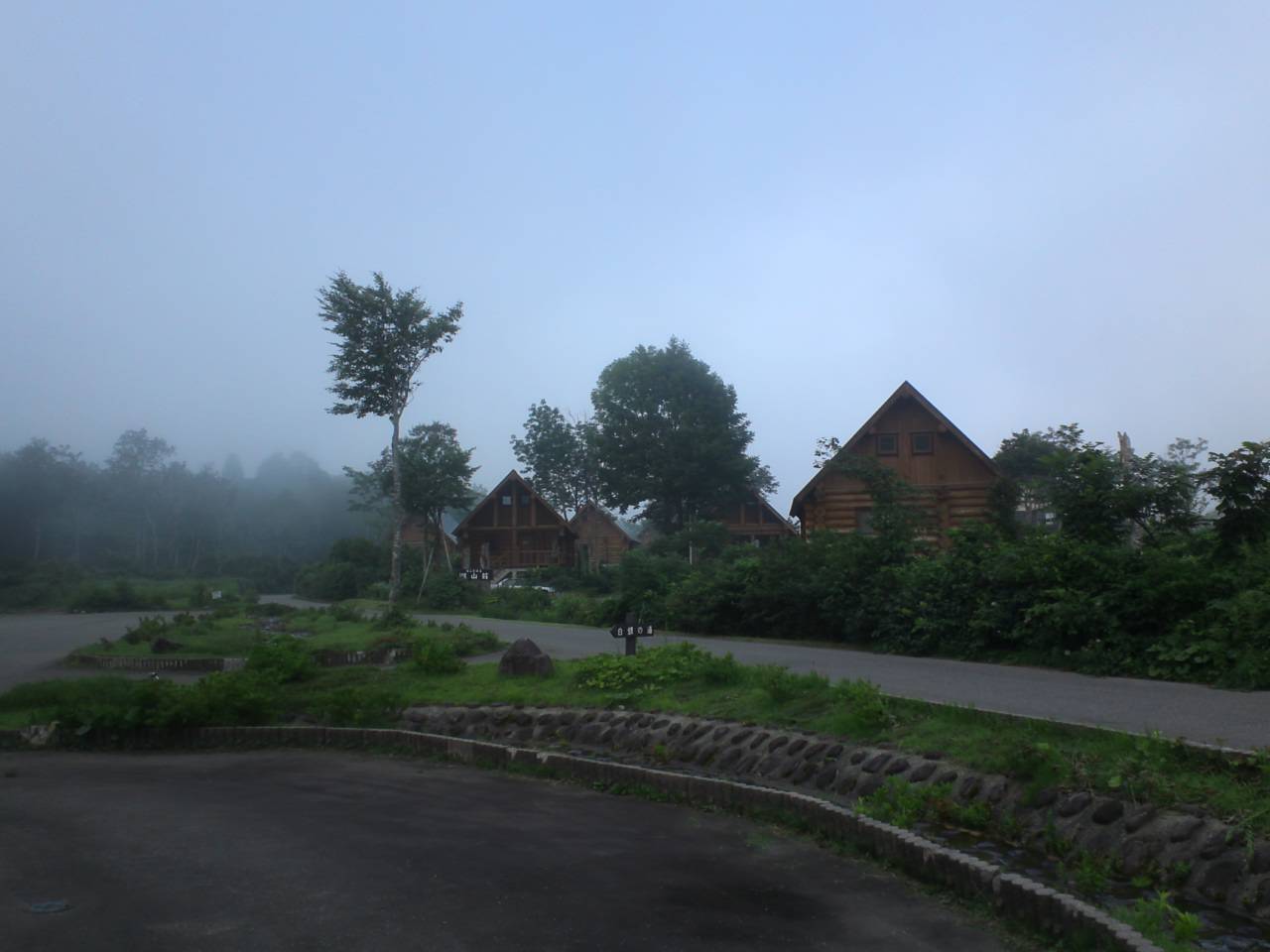 d0107938_15231562.jpg