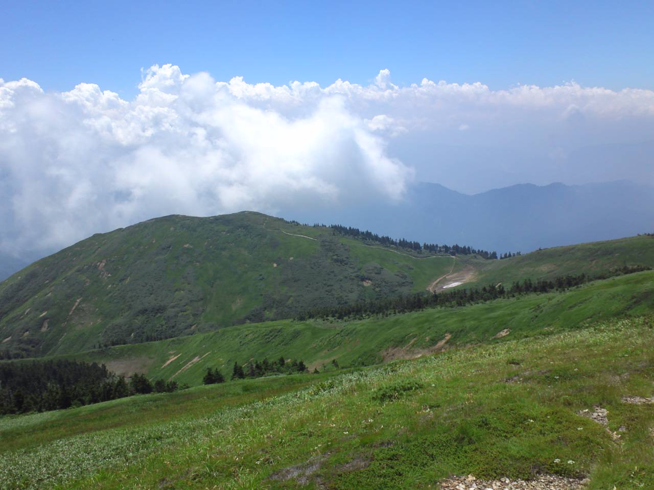 d0107938_1584028.jpg