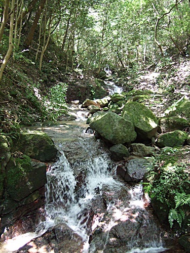 d0087639_09473039.jpg