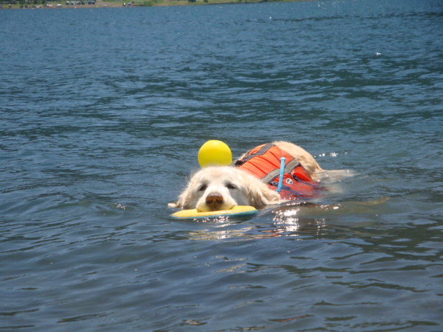 e0158841_17332649.jpg