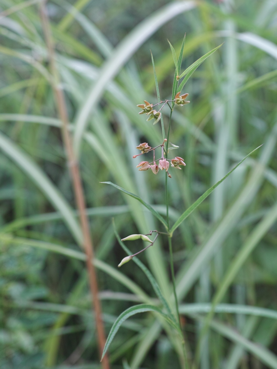 c0008948_1456589.jpg