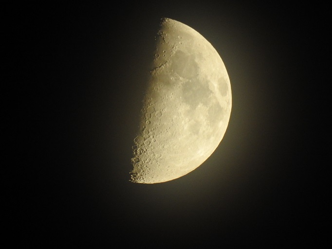 a0237349_1730149.jpg