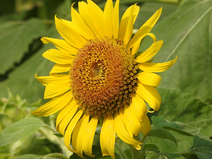 a0237349_17412064.jpg