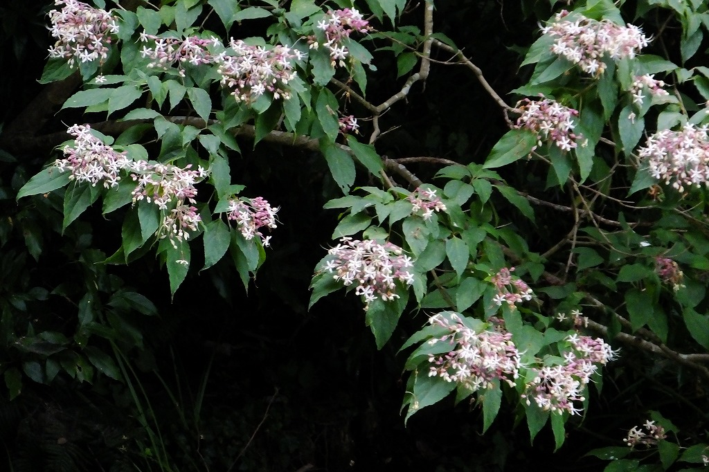 b0236251_11192851.jpg