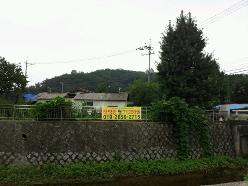 e0186656_1261681.jpg