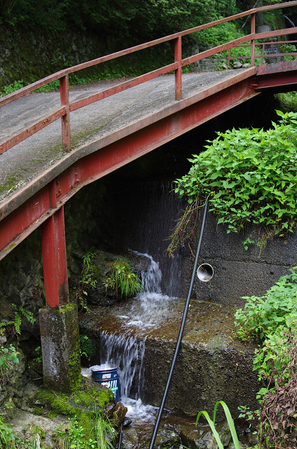 c0080357_2218723.jpg