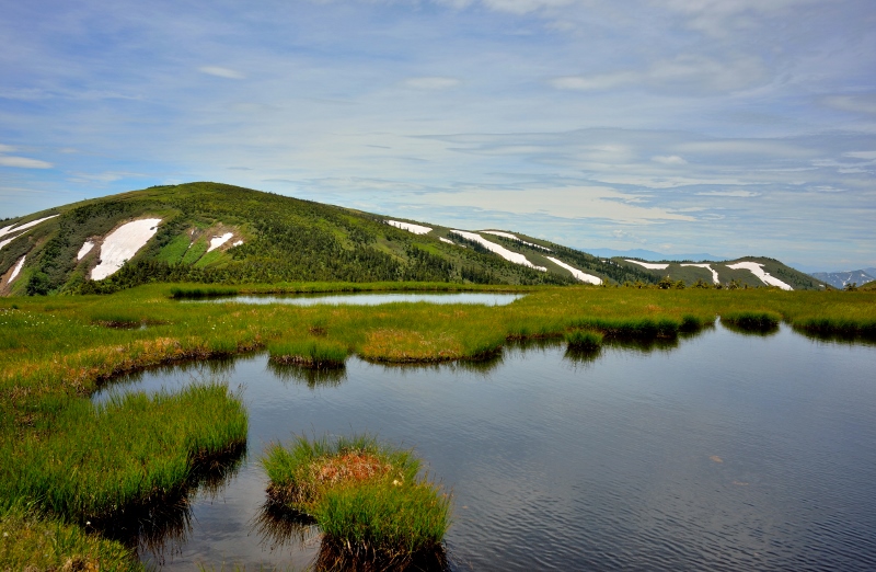 c0136760_22252725.jpg
