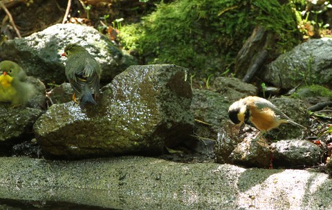 e0197884_21562324.jpg