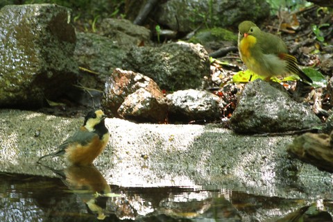 e0197884_21571167.jpg