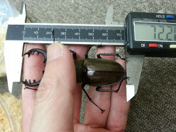 f0183484_227029.jpg