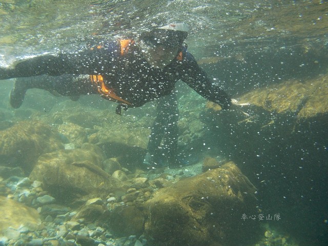 c0007194_4221576.jpg