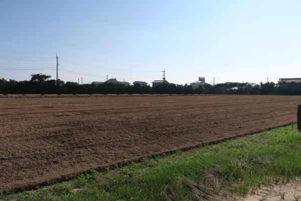 c0334300_15513915.jpg