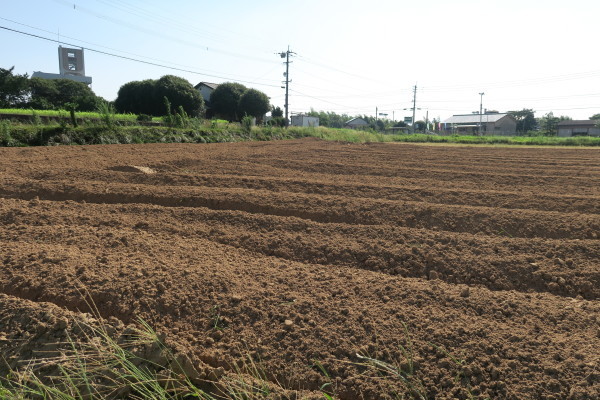 c0334300_15582945.jpg