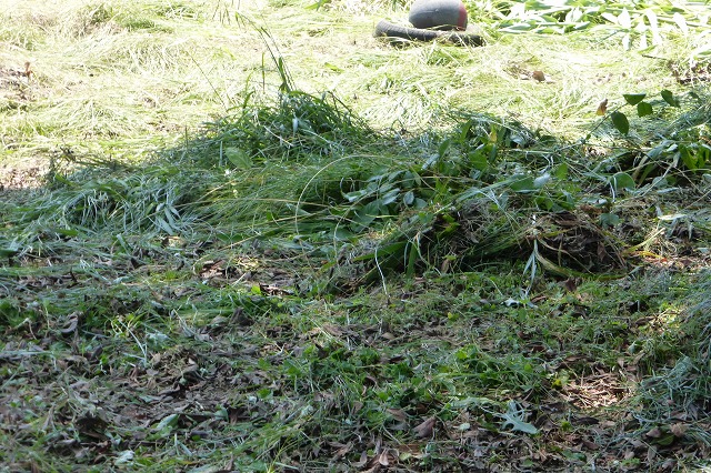 d0037110_20385968.jpg