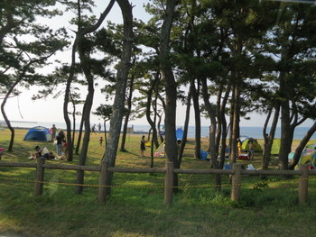 d0027711_14192815.jpg