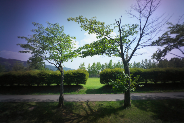 d0143011_2158177.jpg