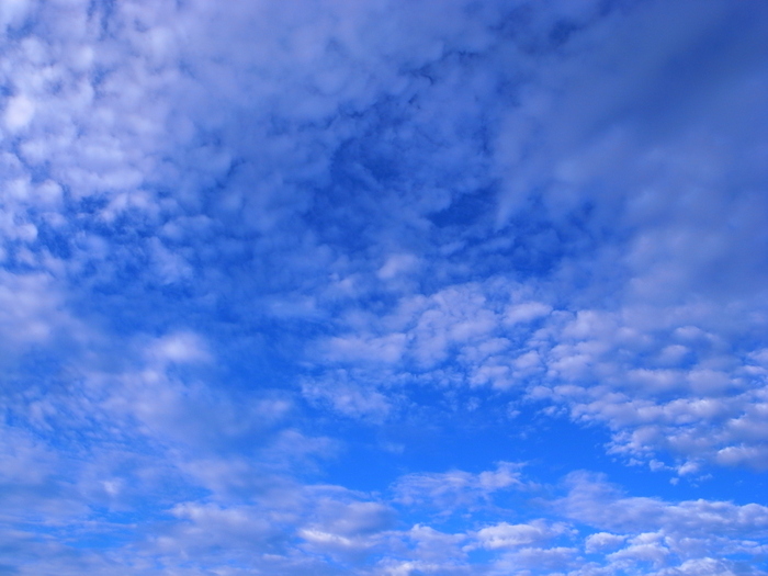 f0209122_15512494.jpg
