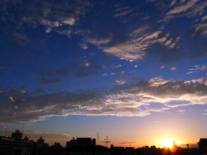 f0209122_1554334.jpg