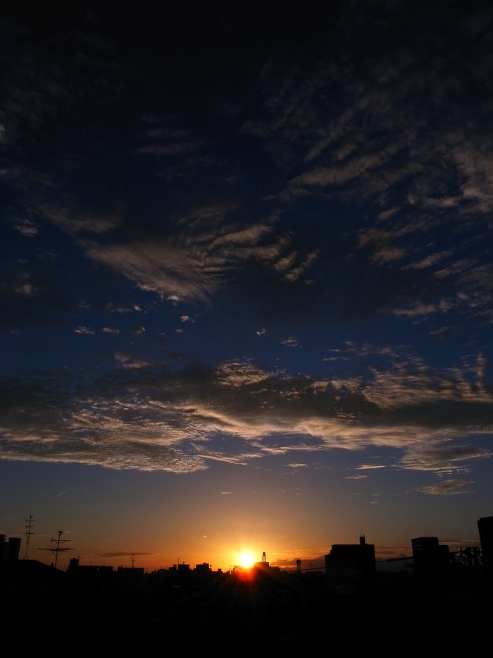 f0209122_1555167.jpg