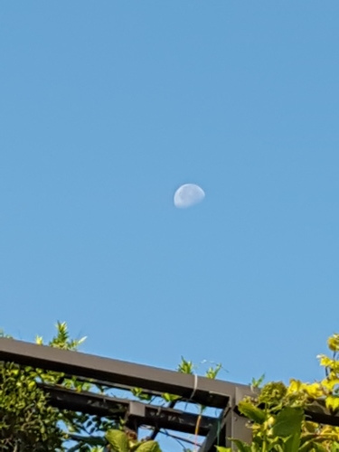 e0016828_10120235.jpg