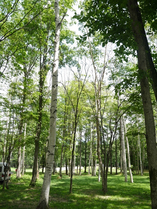 f0231829_00433514.jpg