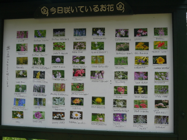 f0231829_00445793.jpg