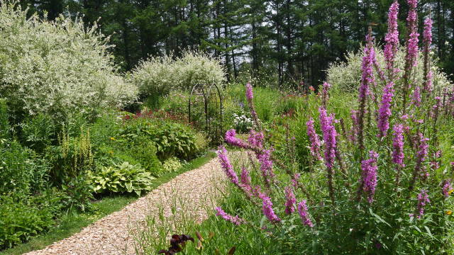 f0231829_00451062.jpg