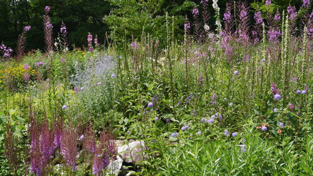 f0231829_00463314.jpg