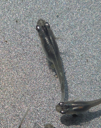 e0097534_17163785.jpg