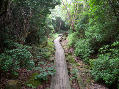 e0272335_5142428.jpg