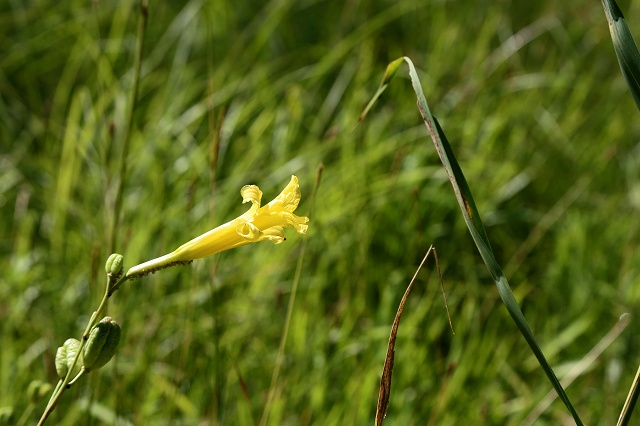 a0242438_20102610.jpg