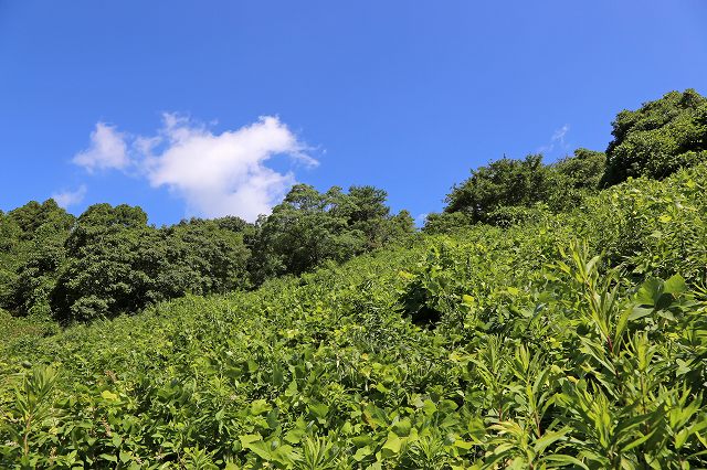 a0242438_20104257.jpg