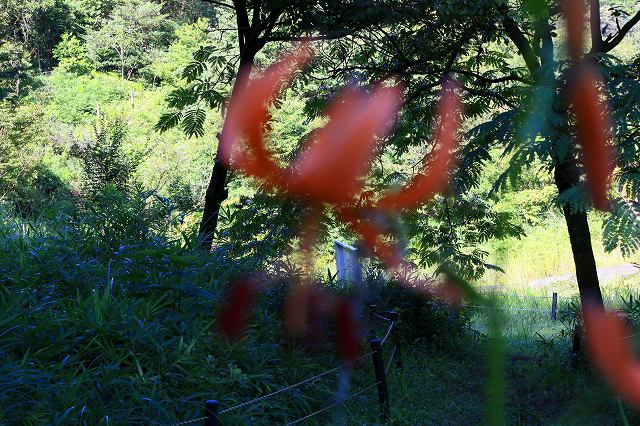 a0242438_207112.jpg