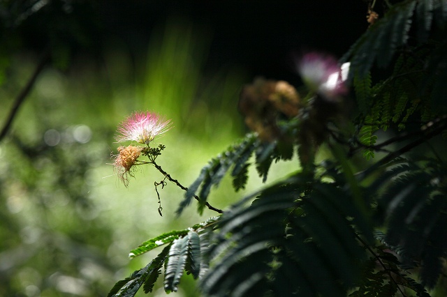 a0242438_2075169.jpg