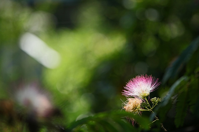 a0242438_2075640.jpg