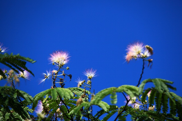 a0242438_2081982.jpg