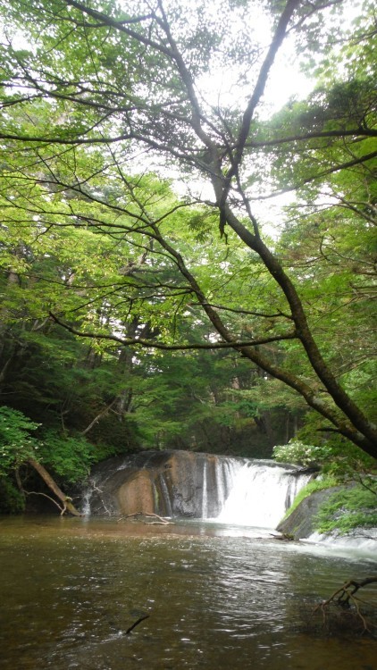 b0304662_22485380.jpg