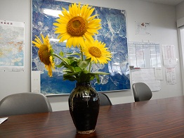 e0175370_11581829.jpg