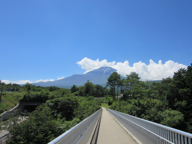 d0109373_1726919.jpg